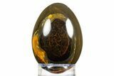 Marra Mamba (Packsaddle) Tiger's Eye Egg - Mt Brockman #308857-1